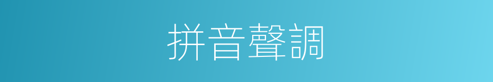 拼音聲調的意思