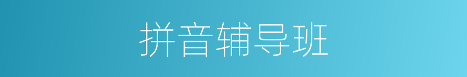 拼音辅导班的同义词