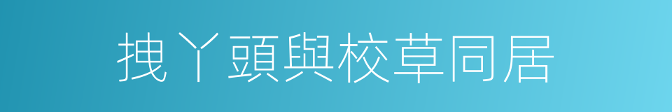 拽丫頭與校草同居的同義詞