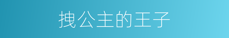 拽公主的王子的同义词