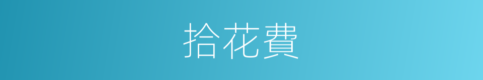 拾花費的同義詞