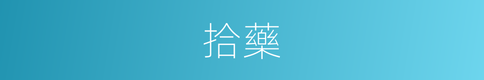 拾藥的同義詞