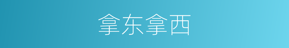 拿东拿西的意思