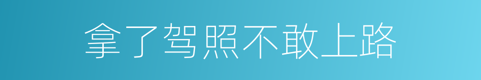 拿了驾照不敢上路的同义词
