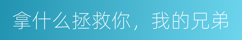 拿什么拯救你，我的兄弟的同义词