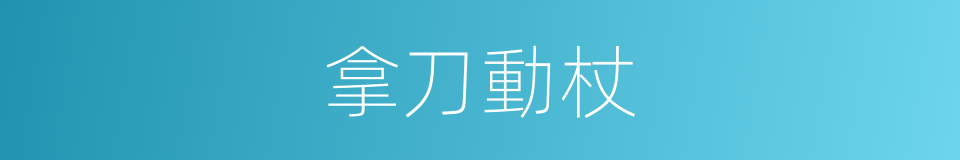 拿刀動杖的意思