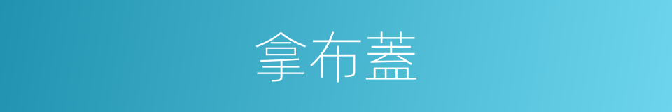 拿布蓋的同義詞