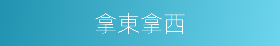 拿東拿西的意思
