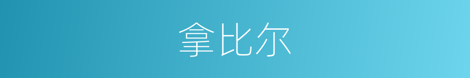 拿比尔的同义词