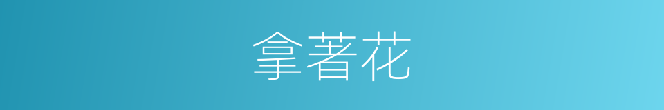 拿著花的同義詞