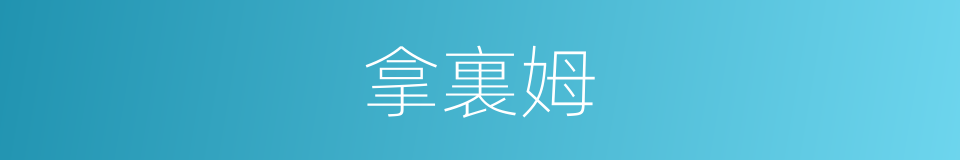 拿裏姆的同義詞