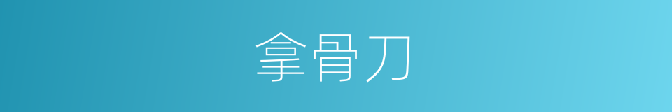 拿骨刀的同义词