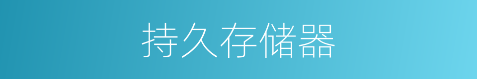 持久存储器的同义词