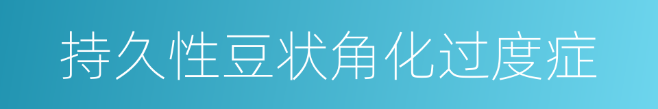 持久性豆状角化过度症的同义词