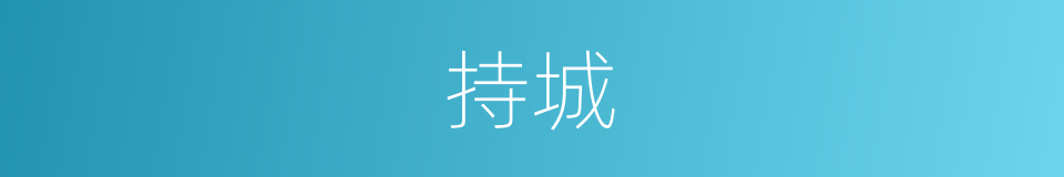 持城的同义词