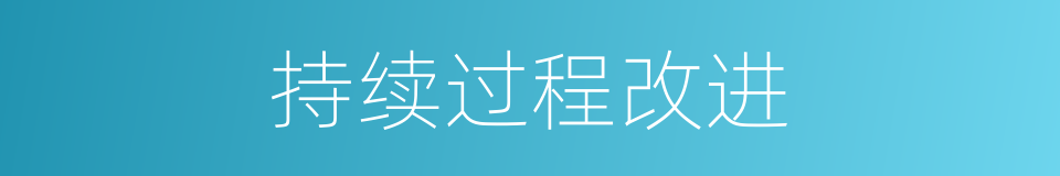 持续过程改进的同义词