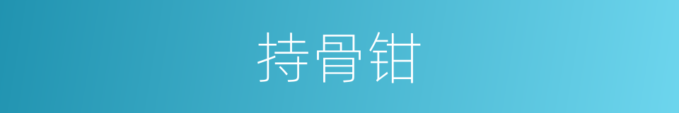 持骨钳的同义词
