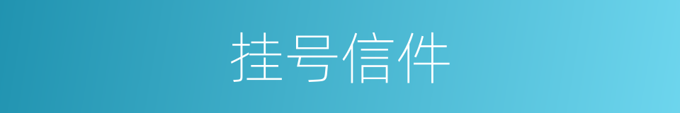 挂号信件的同义词