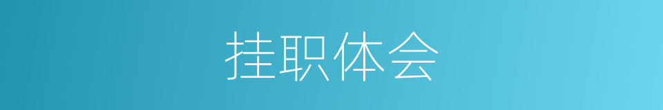 挂职体会的同义词