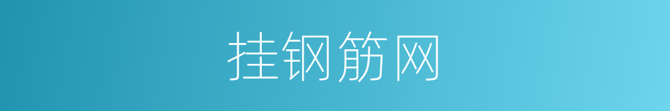 挂钢筋网的同义词