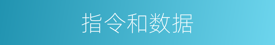指令和数据的同义词
