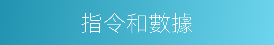 指令和數據的同義詞