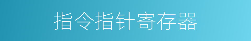 指令指针寄存器的同义词
