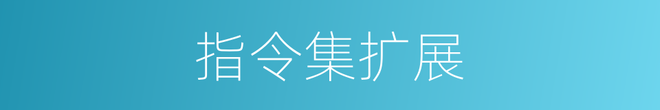 指令集扩展的同义词