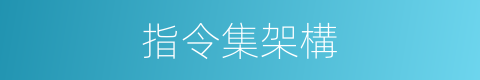 指令集架構的同義詞