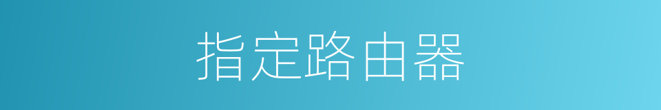 指定路由器的同义词