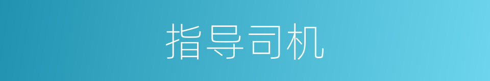 指导司机的同义词