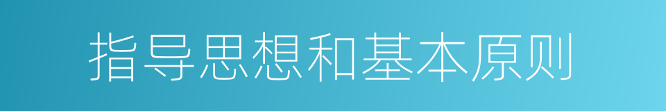 指导思想和基本原则的同义词