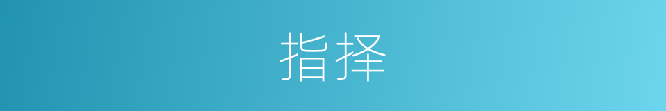 指择的同义词