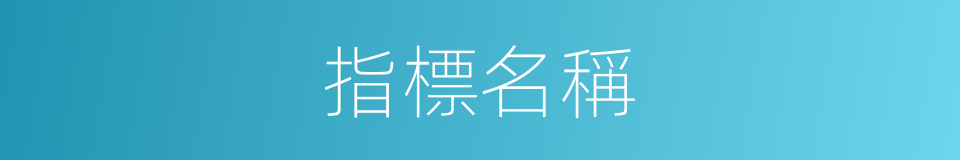 指標名稱的同義詞