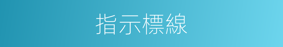 指示標線的同義詞