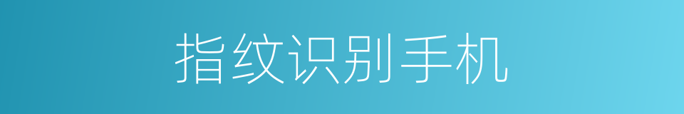 指纹识别手机的同义词