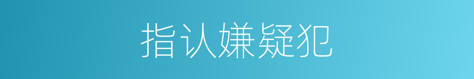 指认嫌疑犯的同义词