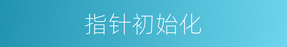 指针初始化的同义词