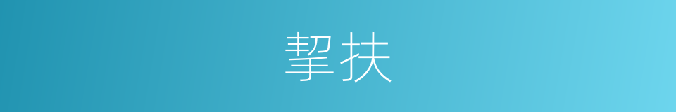 挈扶的意思