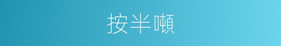 按半噸的同義詞