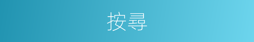 按尋的意思