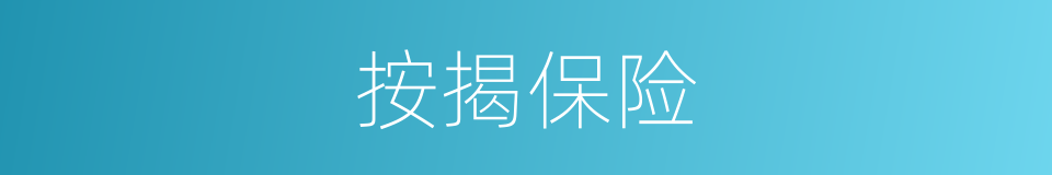 按揭保险的同义词