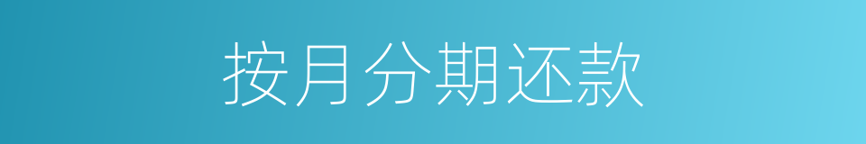 按月分期还款的同义词