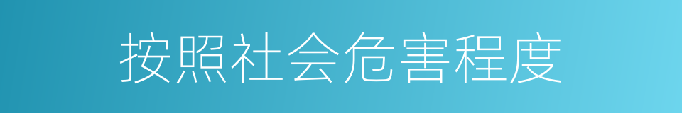 按照社会危害程度的同义词