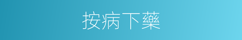 按病下藥的意思