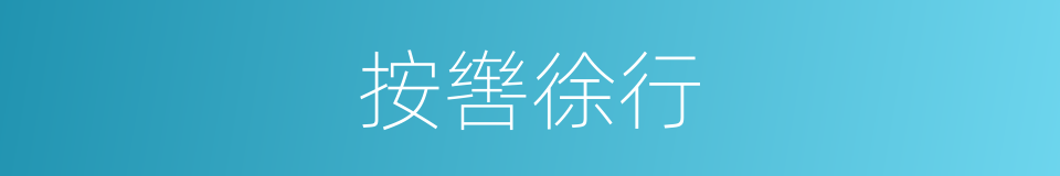 按辔徐行的意思