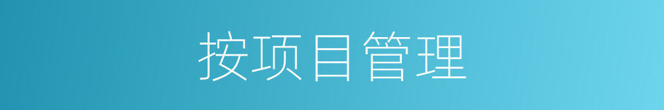 按项目管理的同义词