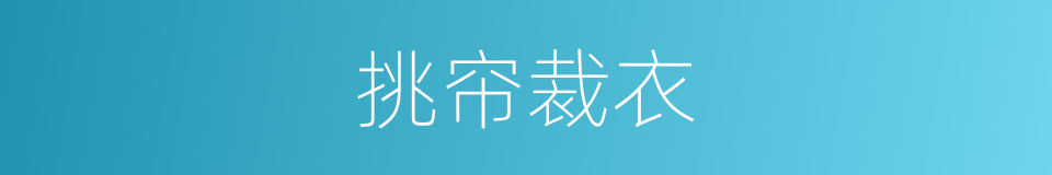 挑帘裁衣的同义词