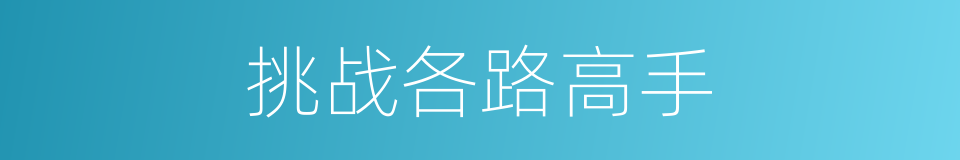挑战各路高手的同义词