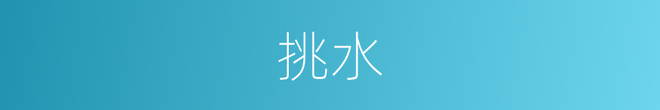 挑水的意思